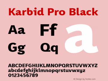 Karbid Pro Black Version 7.60图片样张