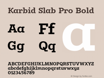 Karbid Slab Pro Bold Version 7.60图片样张