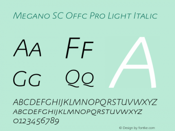 Megano SC Offc Pro Light It Version 7.504; 2012; Build 1025图片样张