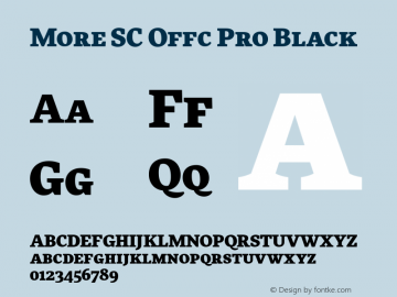 More SC Offc Pro Black Version 7.504; 2010; Build 1021图片样张