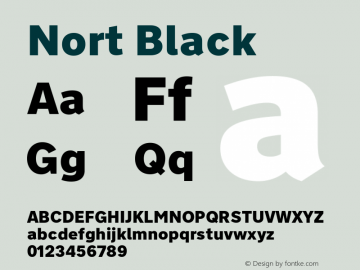 Nort Black Version 7.70图片样张