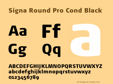 Signa Round Pro Cond Black Version 7.504; 2017; Build 1023图片样张