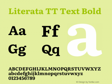 Literata TT Text Bold Version 3.002图片样张