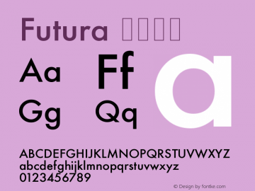 Futura 中等斜体 图片样张