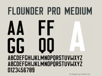 FlounderPro-Medium Version 1.000图片样张