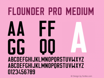 Flounder Pro Medium Version 1.000图片样张