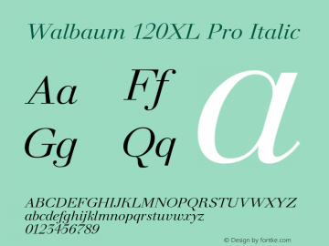 Walbaum120XLPro-Italic Version 1.000 2010 initial release图片样张
