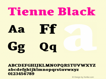 Tienne Black Version 001.001图片样张