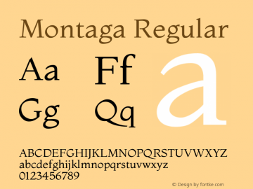 Montaga Version 1.001图片样张