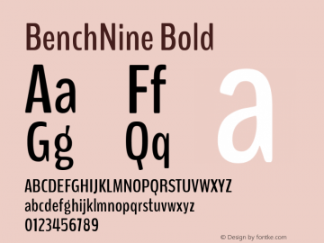 BenchNine Bold Version 1 ; ttfautohint (v0.92.18-e454-dirty) -l 8 -r 50 -G 200 -x 0 -w 