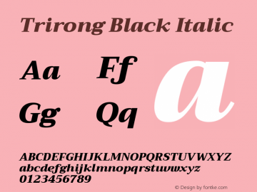 Trirong Black Italic Version 1.001图片样张