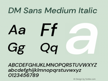 DM Sans Medium Italic Version 1.200; ttfautohint (v1.8.3)图片样张