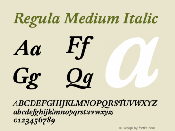 Regula Medium Italic Version 001.001图片样张
