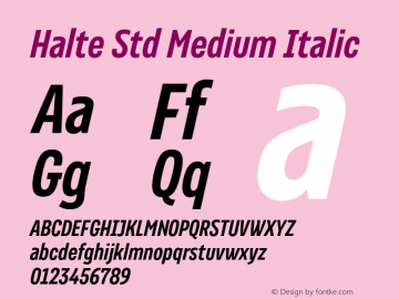 Halte Std Medium Italic Version 1.000图片样张