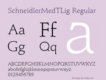 SchneidlerMedTLig Regular Version 001.005图片样张