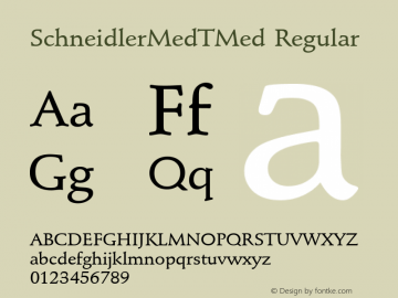 SchneidlerMedTMed Regular Version 001.005图片样张