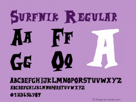 Surfnik Version 1.003;Fontself Maker 3.5.7图片样张