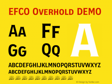 EFCO Overhold DEMO Version 1.000;FEAKit 1.0图片样张