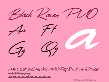 Black Raven Personal Use Version 001.000图片样张