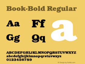 Book-Bold Regular Version 1.0 08-10-2002图片样张