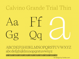 Calvino Grande Trial Thin Version 1.000图片样张