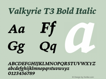 Valkyrie T3 Bold Italic 1.115图片样张