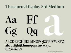 Thesaurus Display Std Medium Version 1.000;PS 001.000;hotconv 1.0.88;makeotf.lib2.5.64775图片样张