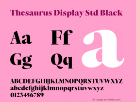Thesaurus Display Std Black Version 1.000;PS 001.000;hotconv 1.0.88;makeotf.lib2.5.64775图片样张