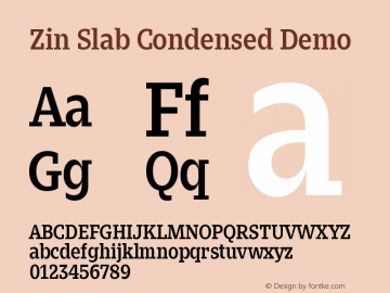 Zin Slab Condensed Demo Version 001.000图片样张