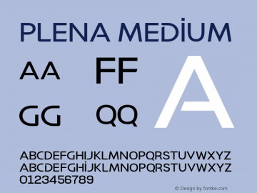 Plena-Medium Version 1.000 - Serdar Ozturk - Be Unique - Arodora Type图片样张