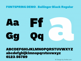 FSP DEMO - Ballinger Black Regular Version 1.066;FEAKit 1.0图片样张