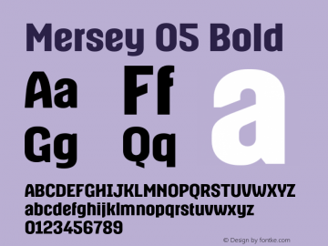 Mersey05-Bold Version 1.002图片样张