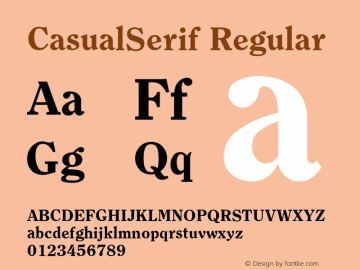 CasualSerif Regular Unknown Font Sample