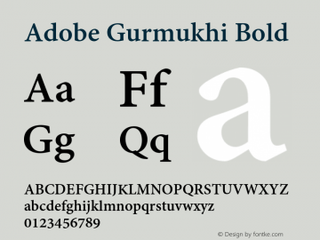 Adobe Gurmukhi Bold Version 1.010;PS 1.005;hotconv 1.0.70;makeotf.lib2.5.5900图片样张