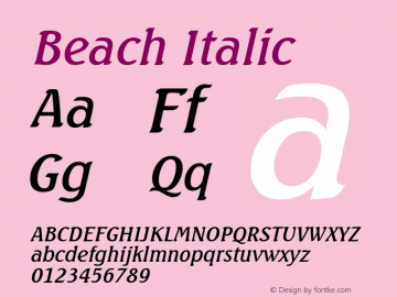 Beach Italic Altsys Fontographer 4.1 5/27/96图片样张