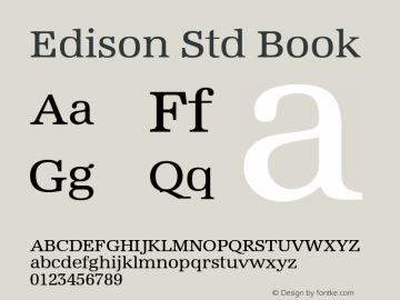 EdisonStd-Book Version 1.00图片样张