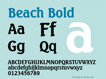 Beach Bold Altsys Fontographer 4.1 5/27/96 Font Sample