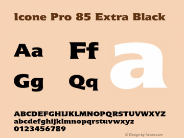 IconePro-85ExtraBlack Version 2.000 Build 1000图片样张