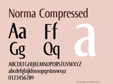 Norma Compressed Version 2.00, build 3, s3图片样张