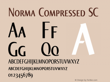 Norma Compressed SC Version 2.00, build 3, s3图片样张