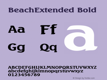 BeachExtended Bold Altsys Fontographer 4.1 5/27/96图片样张