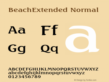 BeachExtended Normal Macromedia Fontographer 4.1.2 8/23/99图片样张