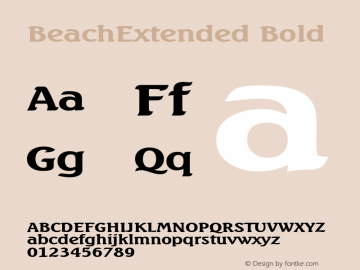 BeachExtended Bold Altsys Fontographer 4.1 5/27/96图片样张