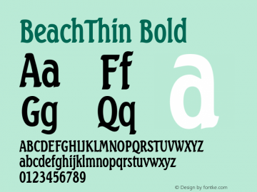 BeachThin Bold Altsys Fontographer 4.1 5/27/96 Font Sample