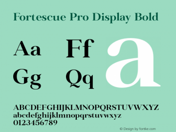 Fortescue Pro Display Bold Version 2.004图片样张