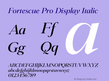 Fortescue Pro Display Italic Version 2.004图片样张