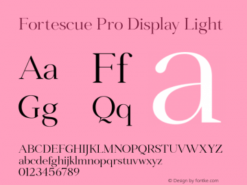 Fortescue Pro Display Light Version 2.004图片样张