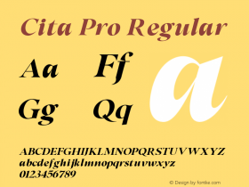 Cita W05 Bold Italic Version 1.00图片样张