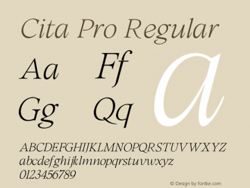 Cita W05 Thin Italic Version 1.00图片样张