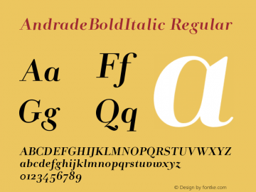 AndradeBoldItalic Version 1.0图片样张